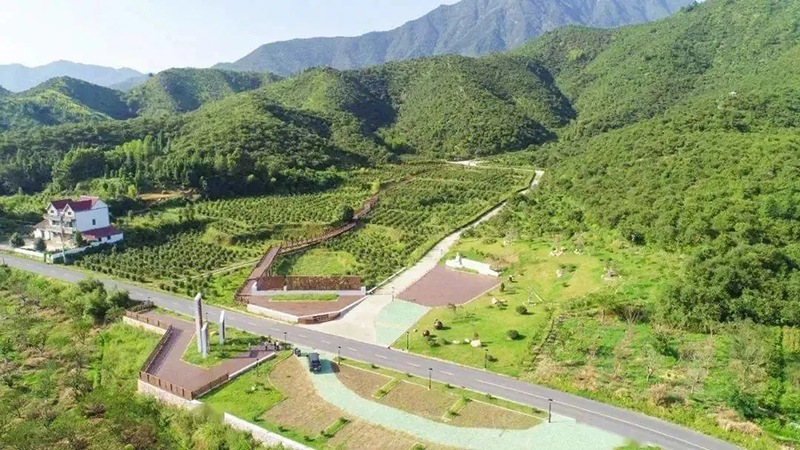 國家級示范，浙江新增4家！