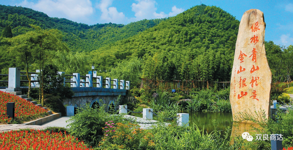 臥虎藏龍取景地，安吉大竹海！商達(dá)五鶴村農(nóng)村污水示范站點(diǎn)投入試運(yùn)行