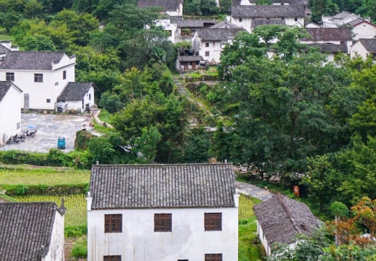 安徽六安市生態(tài)環(huán)境局發(fā)布《2024年六安市土壤、地下水污染防治和農(nóng)村生態(tài)環(huán)境保護工作要點》！