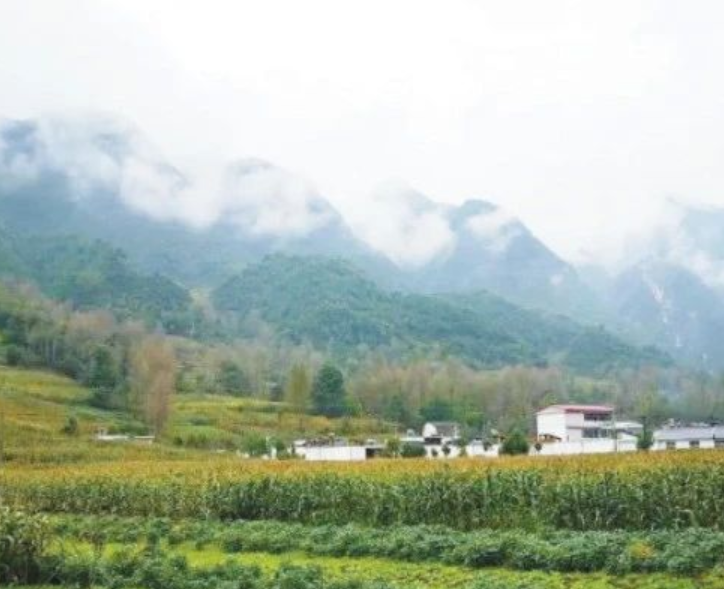 甘肅?。恨r(nóng)村生活污水治理（管控）率達到29.47%以上