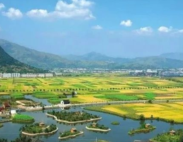 山東印發(fā)實施意見，大力發(fā)展現(xiàn)代設(shè)施農(nóng)業(yè)
