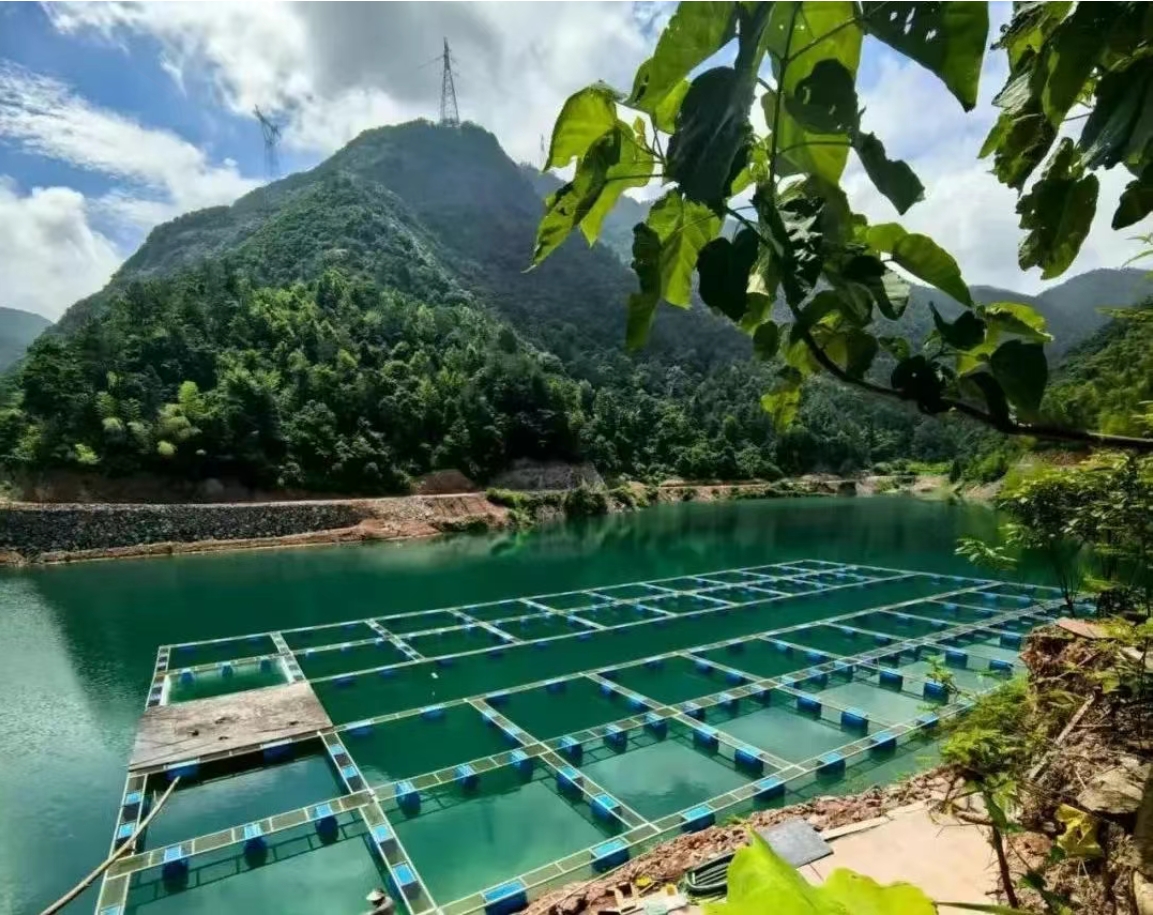 農(nóng)業(yè)農(nóng)村部專家組調(diào)研商達(dá)公用縉云山泉魚生態(tài)養(yǎng)殖項目